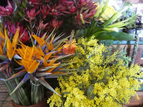 Finally, as if we needed another reminder of home, we came across this burst of yellow wattle