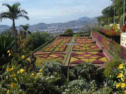 Funchal's Botanic Gardens sit high above the city overlooking the ocean