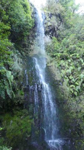 There's plenty of water along the way - not only in the levada
