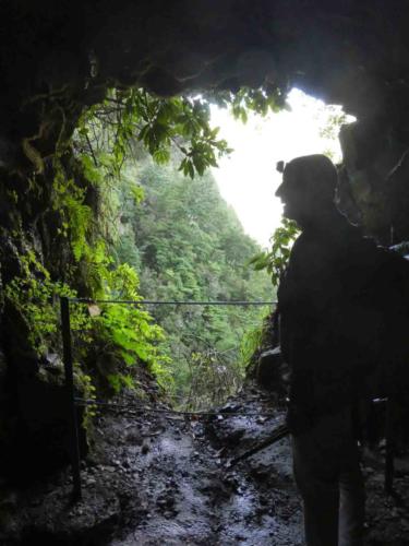 And they're dark; the tunnels are impossible to negotiate without a lamp