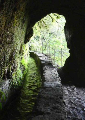 The levadas are extraordinary feats of engineering; what a job it would have been to cut channels - only by eye and hand, and in those conditions - to exactly the right gradient for the water flow