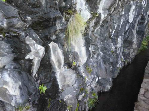 Madeira's first levadas were built in the 15th century, often by slaves brought from Portugal's colonies in Africa 