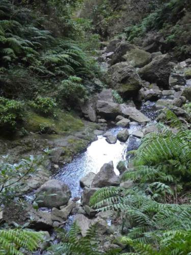 More channels were added over the centuries and today there are 200 levadas extending for over 3,000 kilometres