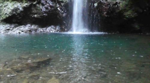 And the aptly-named  Green Cauldron 