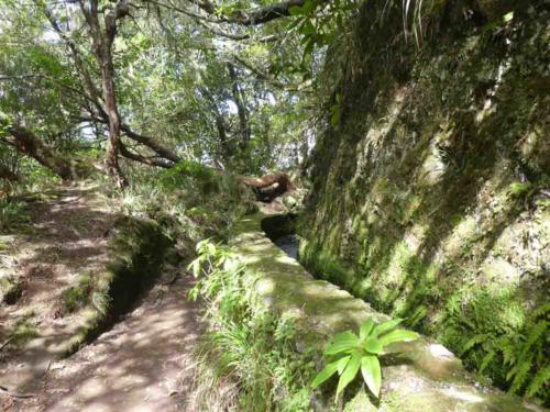 It's about a 12km out-and-back walk through sub-tropical rainforest
