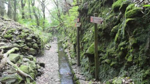 This beautiful walk is Levada do Caldeirão Verde (the Green Cauldron) 