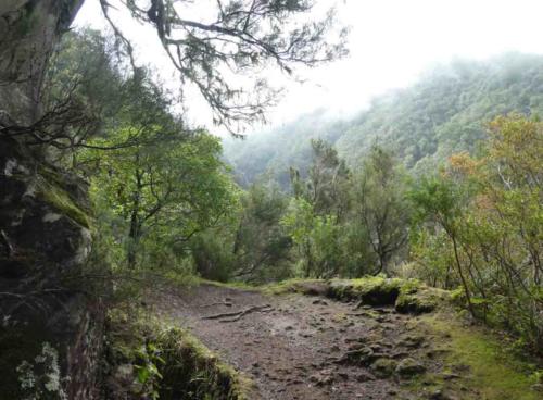 On the return the weather started to close in; it's a fog that can form as a result of the shape and location of these mountains