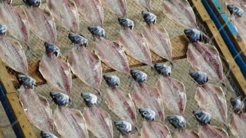 A couple of euro bought us three or four fish and a photo of the seller :)