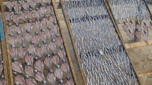 We were assured it was excellent with an apertif