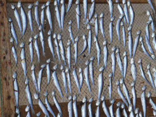 And that proved to be true