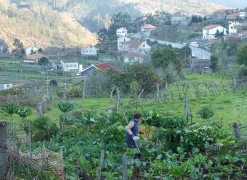 Everyone here grows their own vegetables; this woman was up early working in her garden