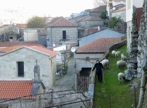 Sometimes, though, the flock is kept closer to home; this lovely woman saw us watching and happily posed for a photo