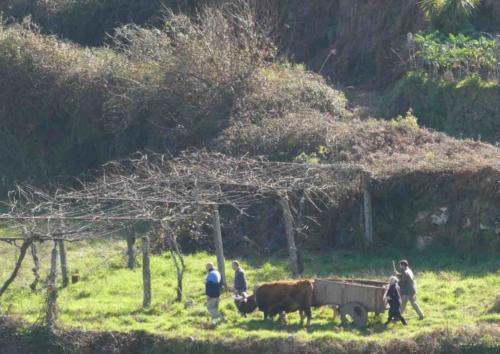 In this village too, traditions are on display