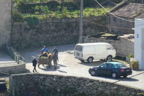Traffic stops for the bullock wagon (could this be the first taxi ever seen in Lindoso? :))
