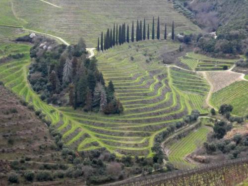 Parts of the Douro  Valley reminded us of Tuscany