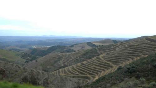 We really enjoyed Porto and the Douro Valley, and we might even have developed a taste for port! :)