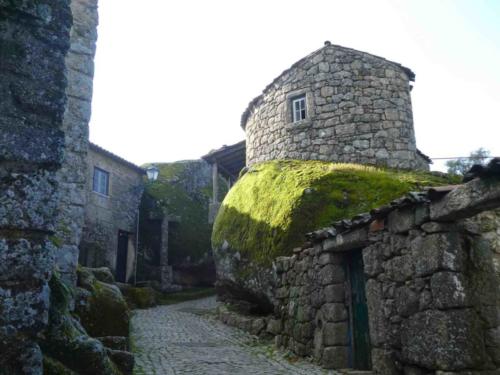 Pigs were an important part of the economy here