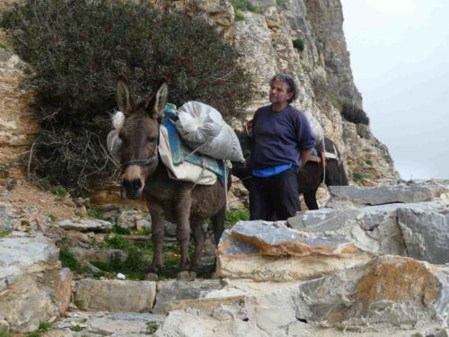 Amorgos has few roads so donkeys are the only means of getting supplies up and down the steep hills