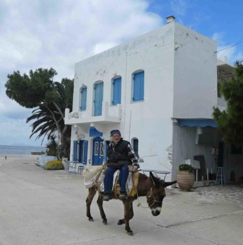 The island's other valuable residents are the donkeys