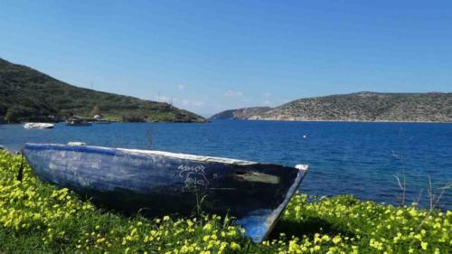 There are lots of great hikes on the island, even around Katapola itself there are plenty of good trails