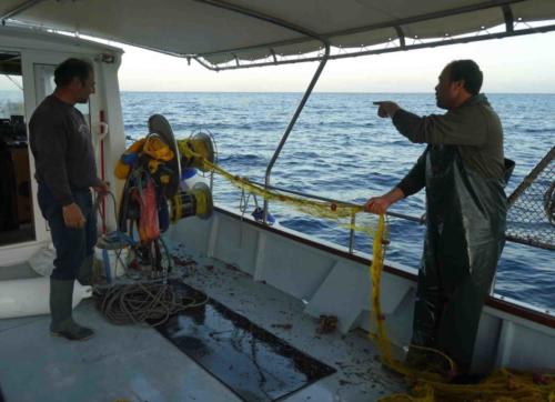 Suddenly the mate spotted something in the net and called for the winch to be stopped