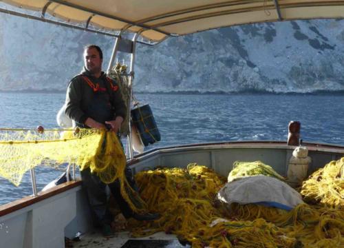 Decades of over-fishing have left stocks in the Mediterranean seriously depleted