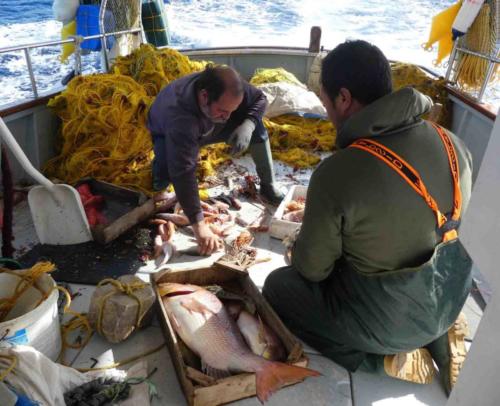 Which meant Yannis and the mate could sort the catch