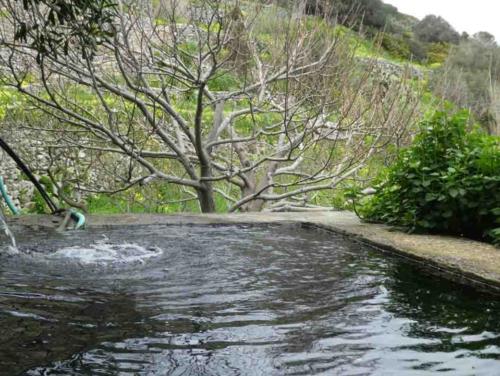 Right up until the 1960s people came to consult the waters; the Orthodox Church decried such pagan practices, of course, and in 1967 had the original well cemented over