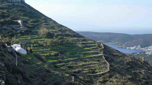 Six years ago this amazing woman moved into what was, at that time, a long-abandoned building; since then she has worked tirelessly to restore the monastery and its gardens