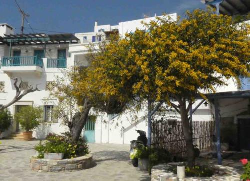 Katapola has the look of a seaside village