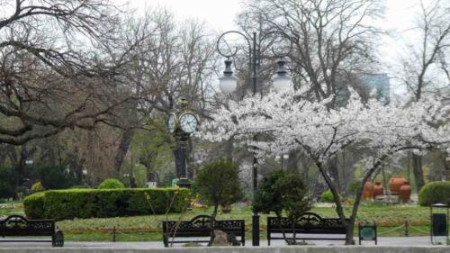 We really enjoyed Bucharest; there's a bit of a sense of 'faded glory' about the city but that also gives it an authenticity that we liked a lot