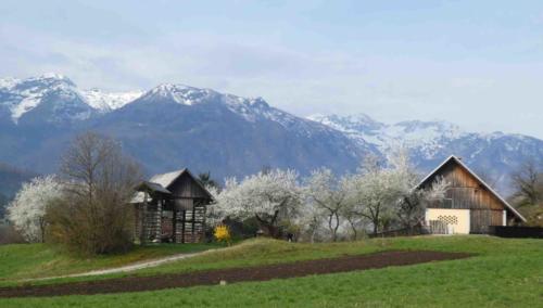 Apparently Slovenia is the only country with 'love' in its name; we certainly felt that love and can't wait to go back for more