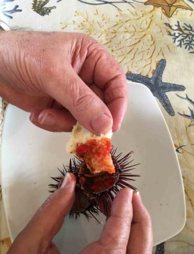 Best eaten straight from the shell; just use a piece of soft bread as a spoon and away you go