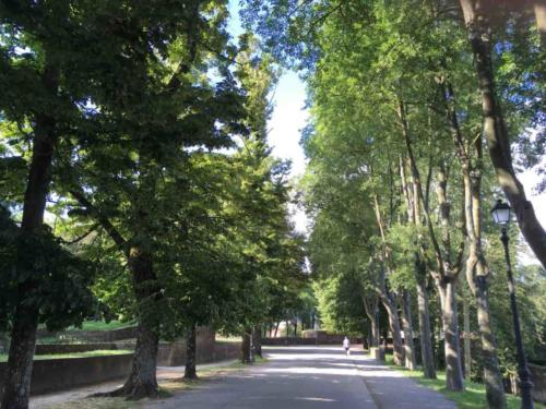 And the same section a couple of weeks ago