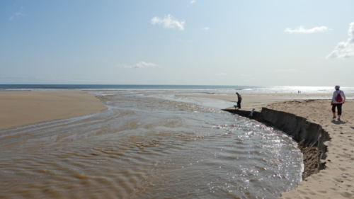 That's where we met English friends, Mary and John - beach walking here in Northumberland with Rosie and Gracie