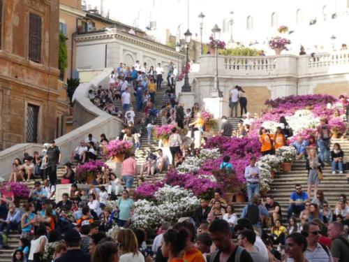 The Spanish Steps (looking pretty in Spring)