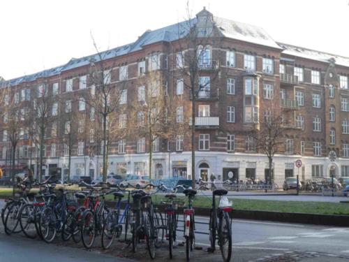 Copenhagen has more bikes than people