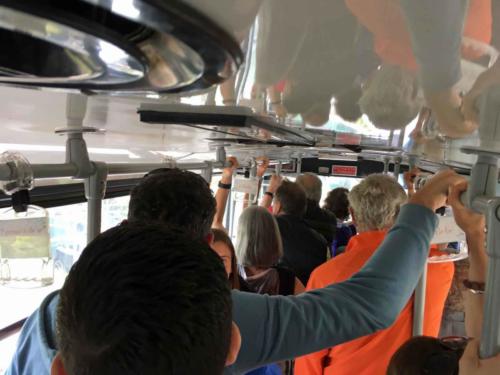 Welcome to Capri! The bus from the port