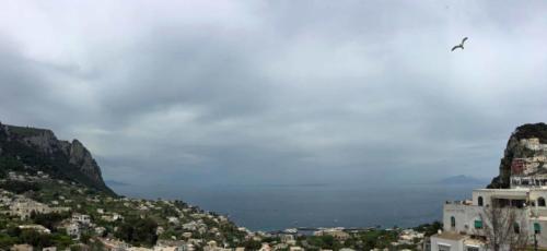 Away from the shops, though, Capri's landscape is rugged and beautiful