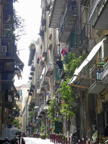 Rows of shops and restaurants run parallel to the waterfront, and further back are the old residential streets