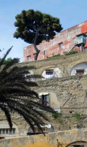 We definitely want to come back to Naples for more