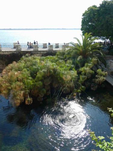 The Spring of Arethusa; named for the ancient Greek myth that's told as a great love story but really is anything but (nymph minding her own business is spied by river god who pursues her even after she flees to Ortygia and is turned into a spring)
