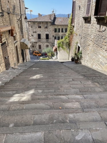This street is much steeper than it looks. Helpfully, there are also a few lifts scattered throughout the city to whisk people up and down.