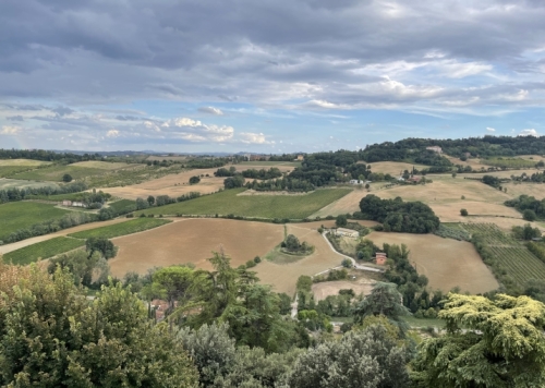 And offers views like this over the surrounding countryside. This is an important wine-producing district.