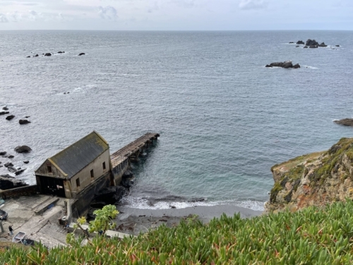 We watched a couple of Atlantic grey seals splashing about near the old RNLI Lifeboat Station (this one was closed in 1961).
