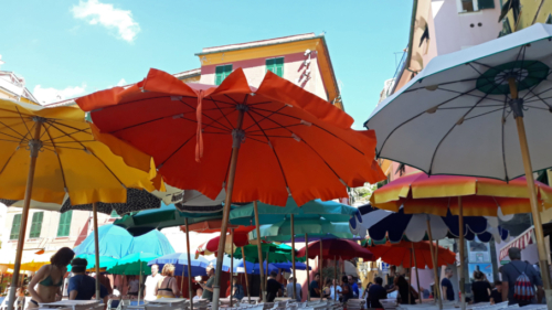 Colourful umbrellas - from below
