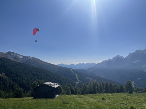 At the top, we headed off on one of the trails but before long, it was the action overhead that stopped us in our tracks.