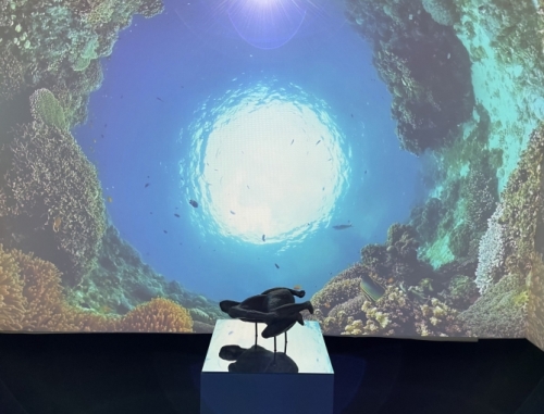 For us, this well-curated exhibition - in a former 14th century convent - was an excellent introduction to his work.