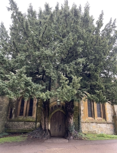 And this is the north porch of St Edward's Church in Stow on the Wold. 