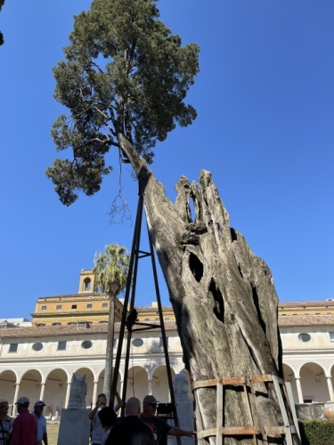 And at the Charterhouse of Santa Maria degli Angeli, you’ll find a cloister designed by Michelangelo, and a cypress tree he planted that is still surviving - just. 